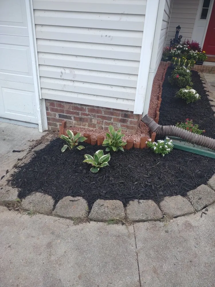 Expert landscape design for year-round maintenance in Jacksonville, NC by Van and Pops Lawn Care