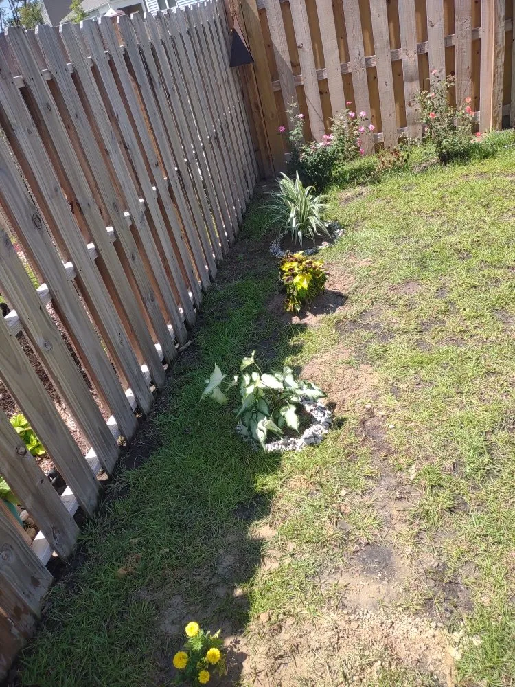 Expert yard cleanup service for beautiful yards across Jacksonville, NC - Van and Pops Lawn Care