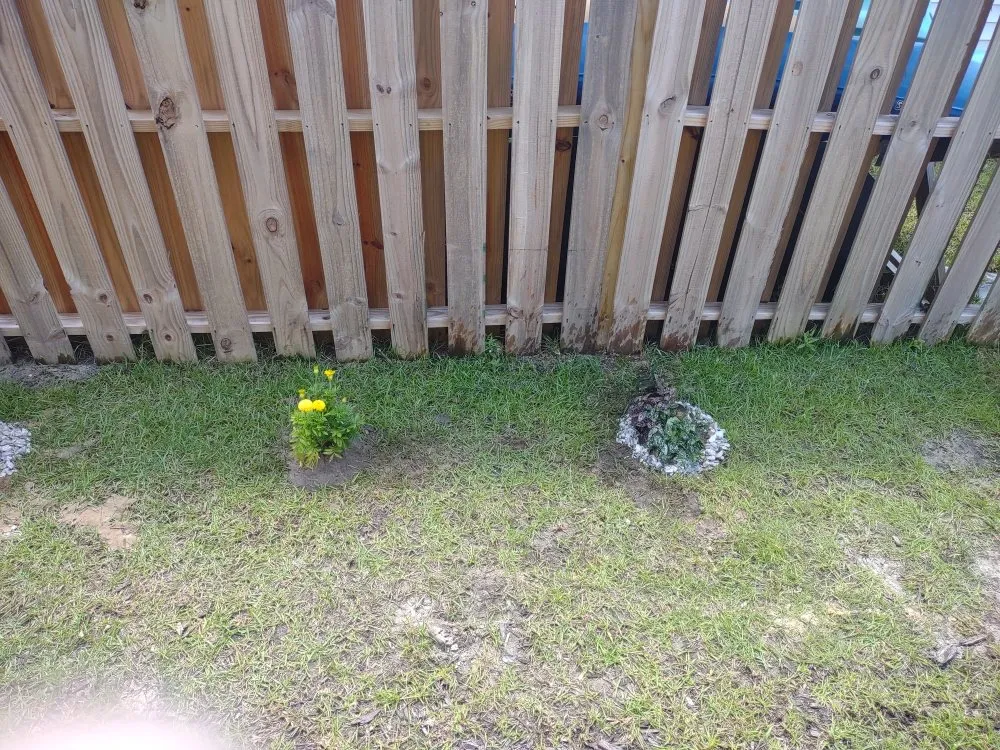 Top-rated residential landscaping for beautiful yards across Jacksonville, NC - Van and Pops Lawn Care