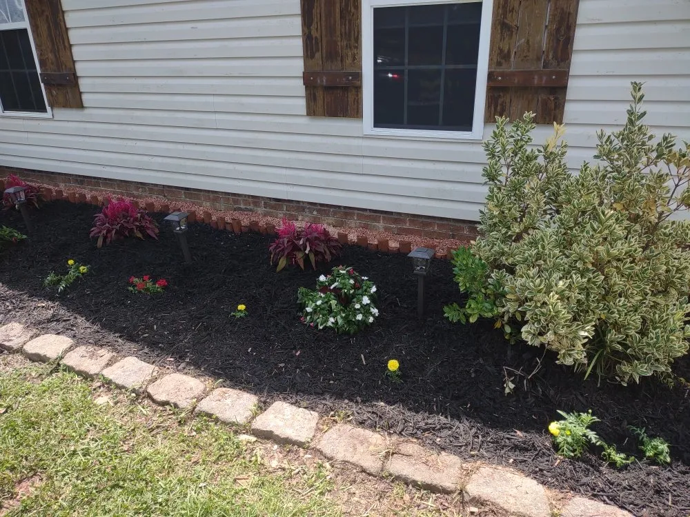 Professional lawn care service for residential properties in Jacksonville, NC by Van and Pops Lawn Care