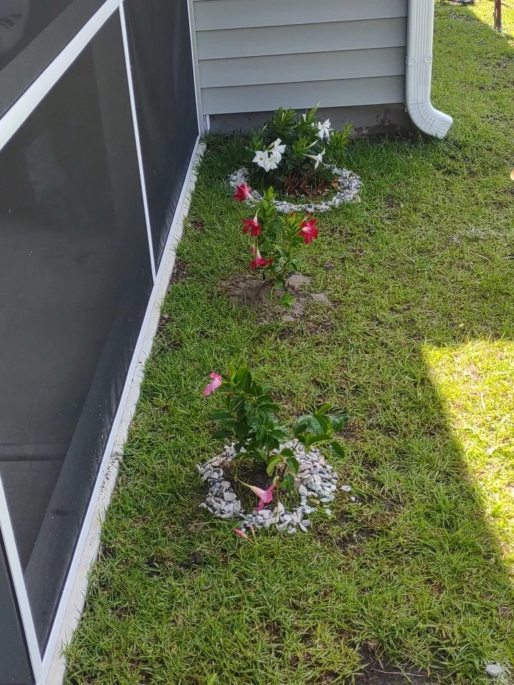 Expert yard cleanup service for year-round maintenance in Jacksonville, NC by Van and Pops Lawn Care