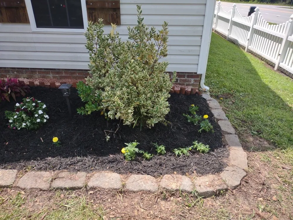 Affordable lawn mowing service near you in Jacksonville, NC by Van and Pops Lawn Care