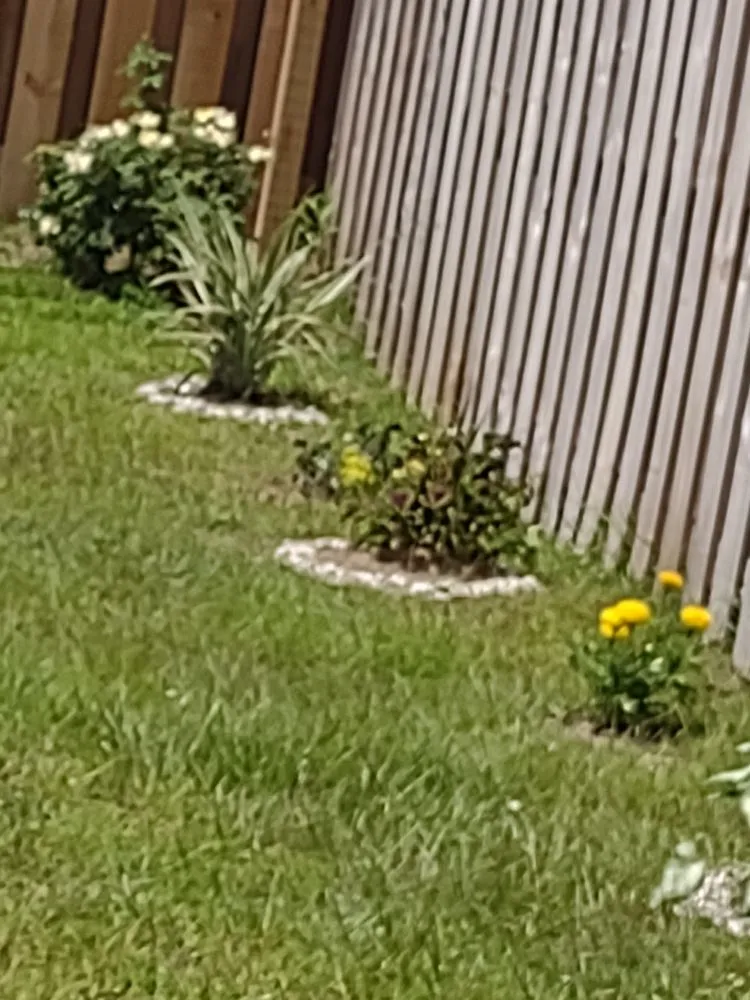 Trusted lawn mowing service for outdoor upgrades in Jacksonville, NC by Van and Pops Lawn Care