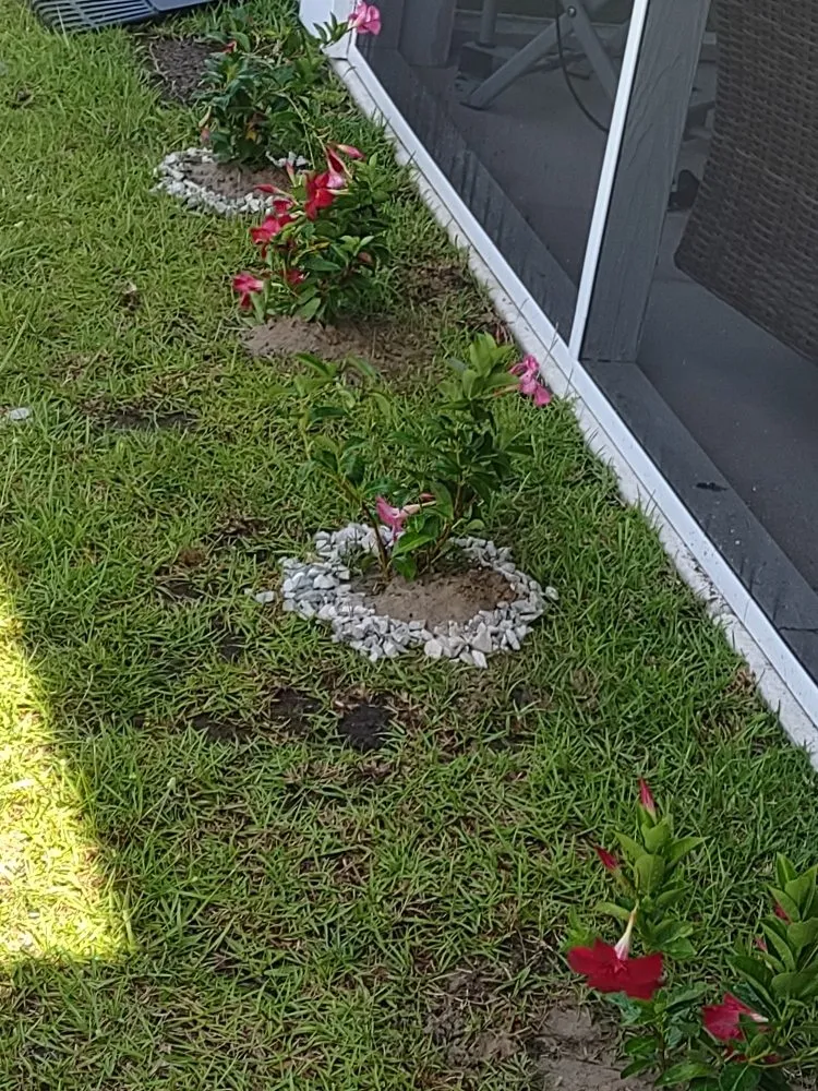 Top-rated outdoor landscaping for outdoor upgrades across Jacksonville, NC - Van and Pops Lawn Care