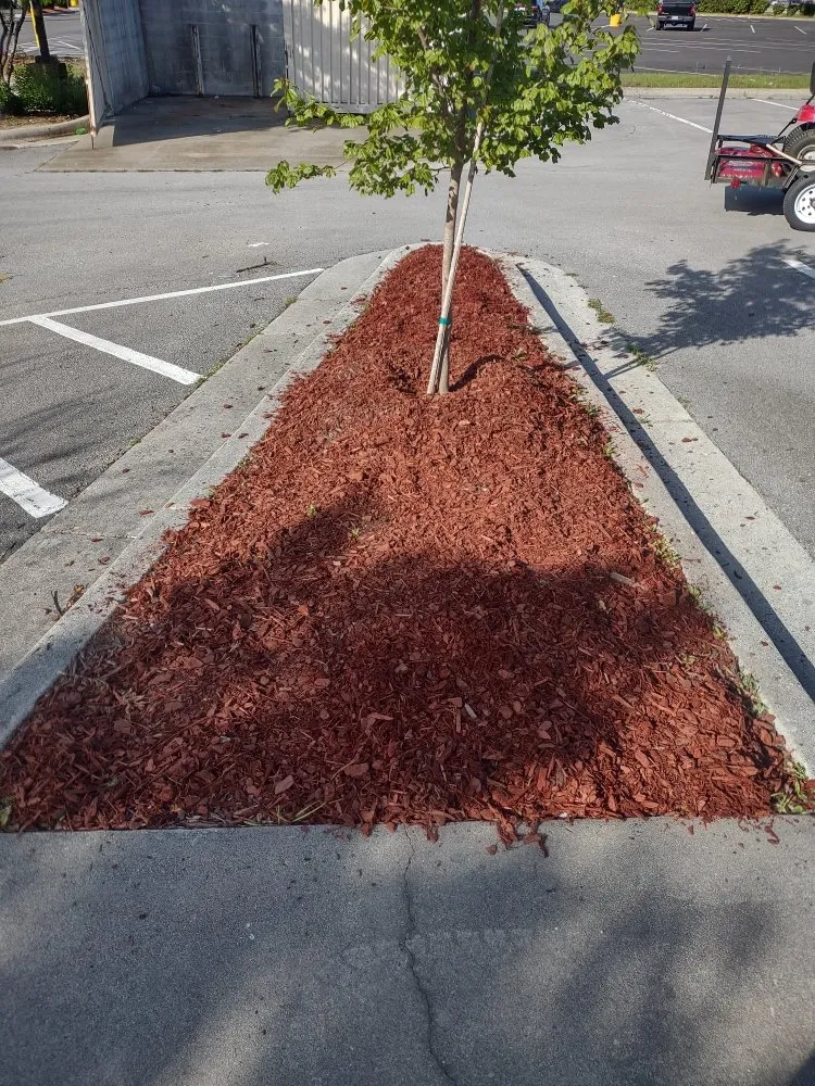 Affordable lawn mowing service experts serving Jacksonville, NC - Van and Pops Lawn Care