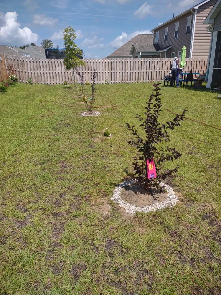 Reliable residential landscaping in Jacksonville, NC by Van and Pops Lawn Care