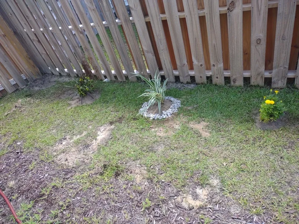 Expert landscape installation experts serving Jacksonville, NC - Van and Pops Lawn Care