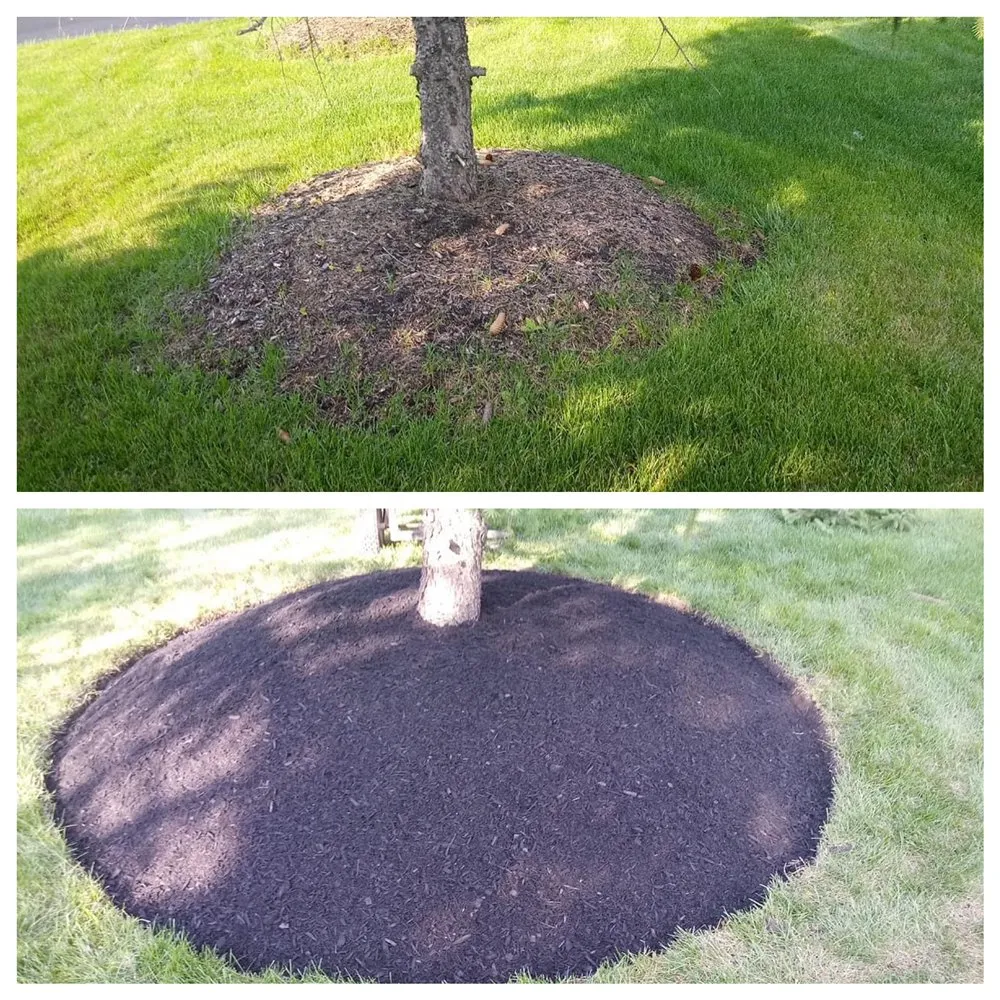 Expert landscape installation for homes in Schenectady, NY by Van Brocklen Property Management