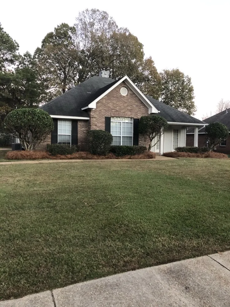 Top-rated residential landscaping for year-round maintenance across Pearl, MS - Van Buren Lawn & Landscape