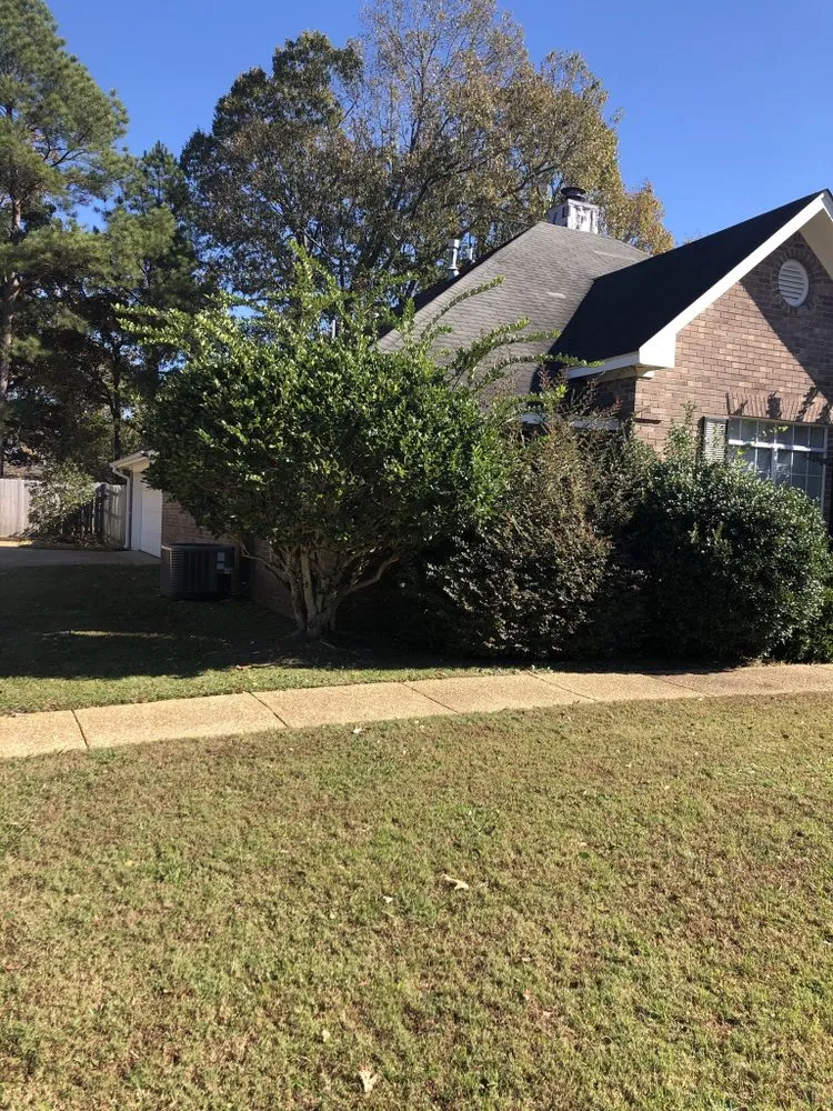 Reliable landscape design near you in Pearl, MS by Van Buren Lawn & Landscape