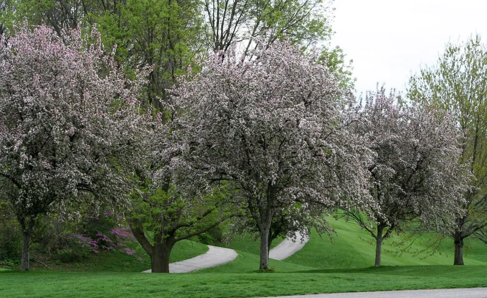 Expert landscaping services with custom design in Lafayette, IN by Van Dame Outdoor Maintenance