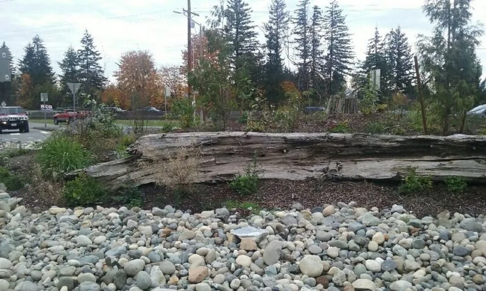 Expert outdoor landscaping experts serving Tulalip, WA - Van Den Akker's Landscaping & Hydroseeding