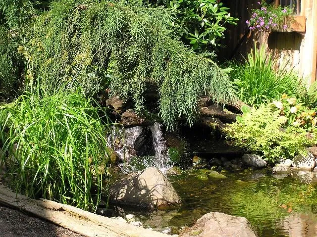 Top-rated yard maintenance in Tulalip, WA - Van Den Akker's Landscaping & Hydroseeding
