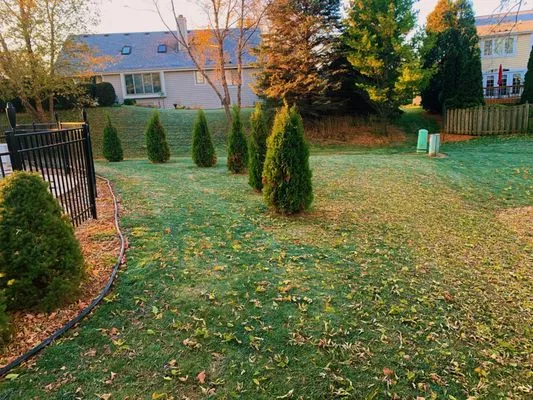 Van De's Lawn & Landscape