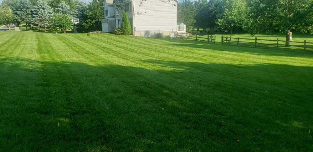Local lawn mowing service in Mount Airy, MD - Van Lowe Lawn Care