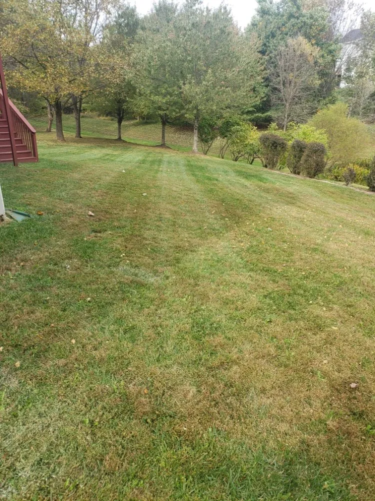 Reliable lawn mowing service with custom design across Mount Airy, MD - Van Lowe Lawn Care