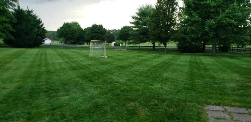 Professional yard cleanup service for year-round maintenance in Mount Airy, MD by Van Lowe Lawn Care