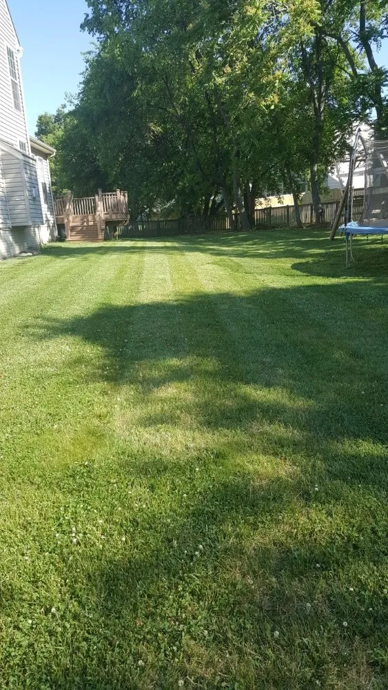 Top-rated landscaping services in Mount Airy, MD by Van Lowe Lawn Care