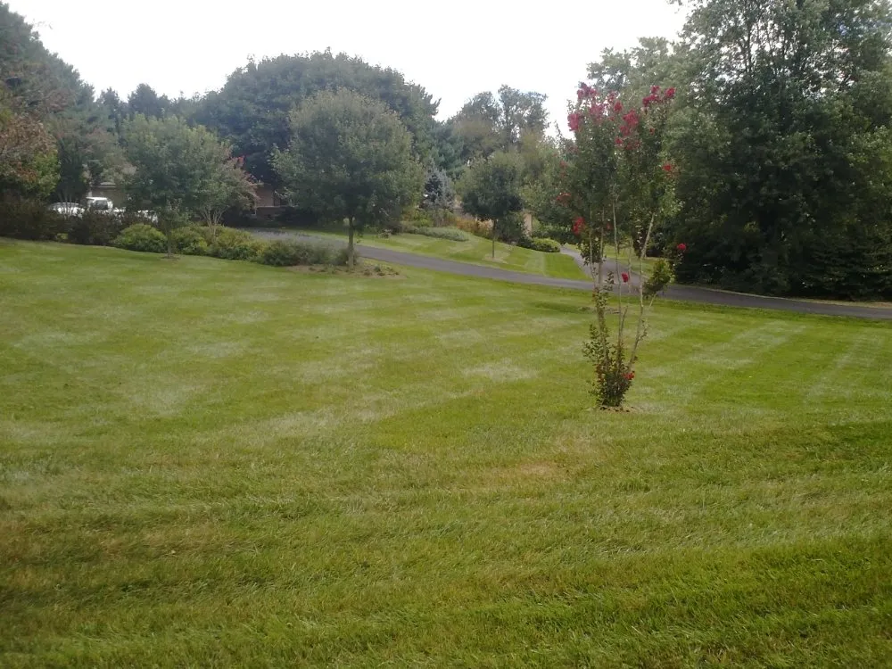 Professional lawn mowing service experts serving Mount Airy, MD - Van Lowe Lawn Care