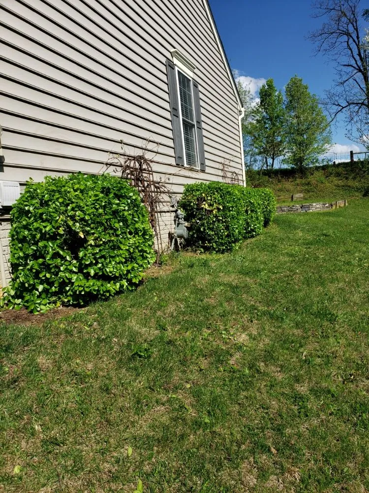 Local yard maintenance in Mount Airy, MD - Van Lowe Lawn Care