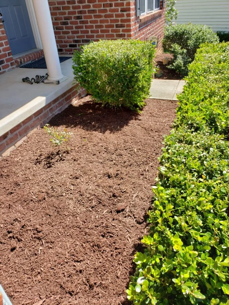 Top-rated yard maintenance in Mount Airy, MD by Van Lowe Lawn Care