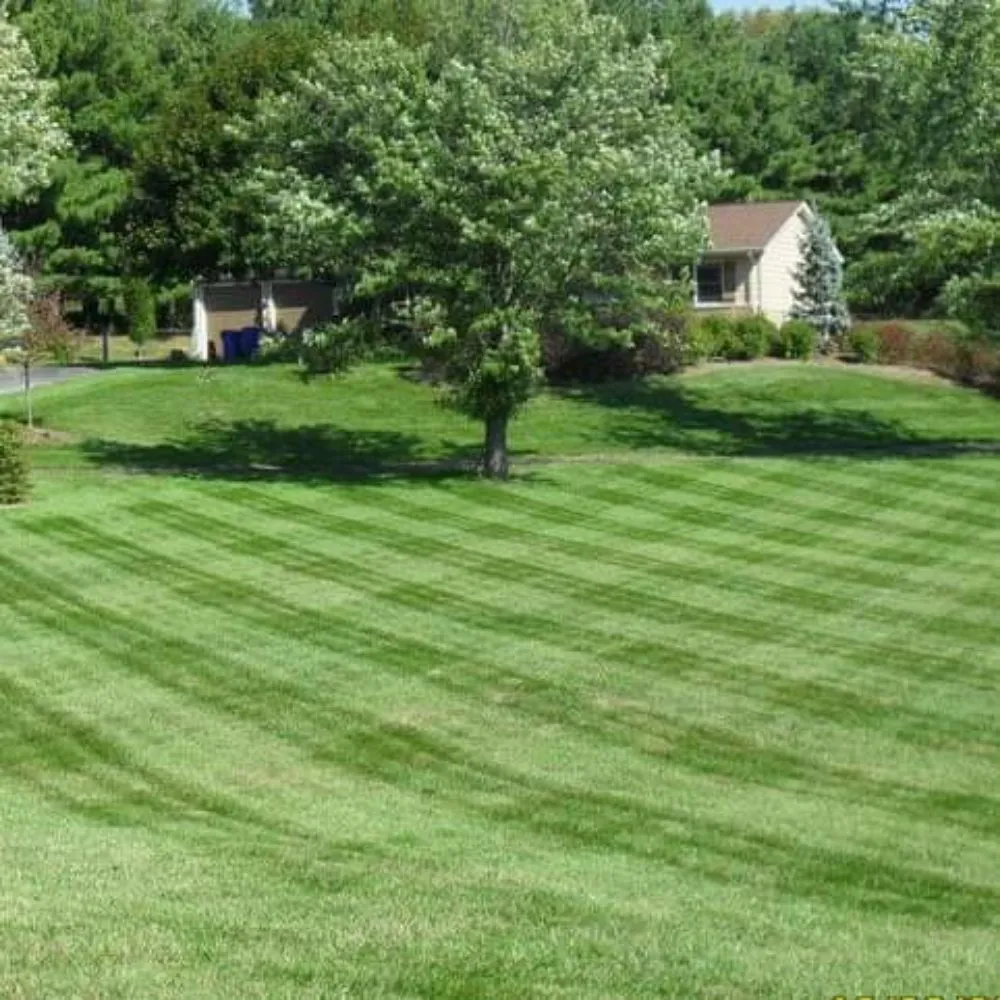 Expert lawn mowing service experts serving Mount Airy, MD - Van Lowe Lawn Care