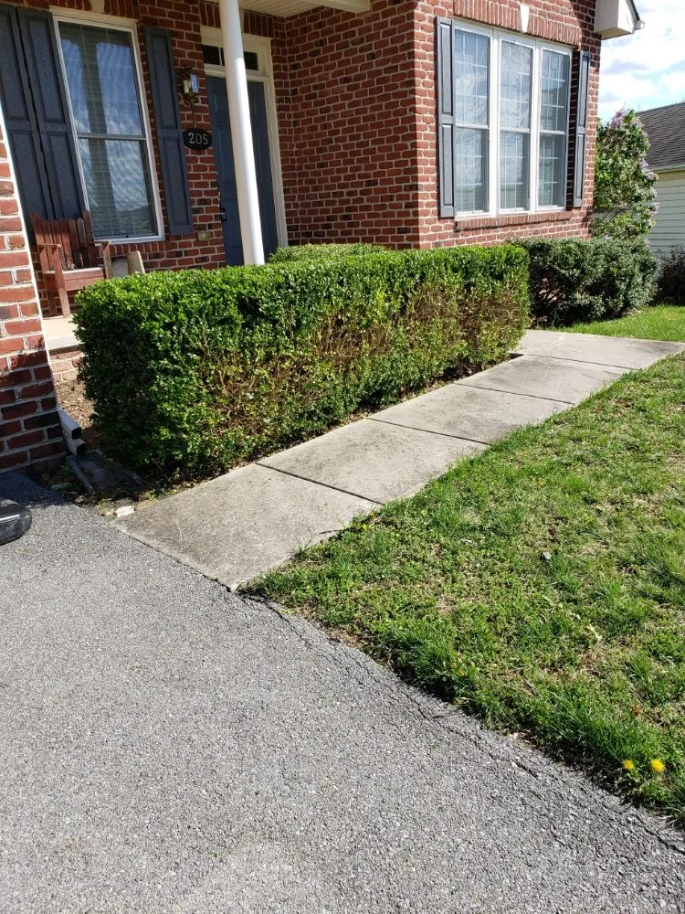 Custom lawn care service for homes across Mount Airy, MD - Van Lowe Lawn Care