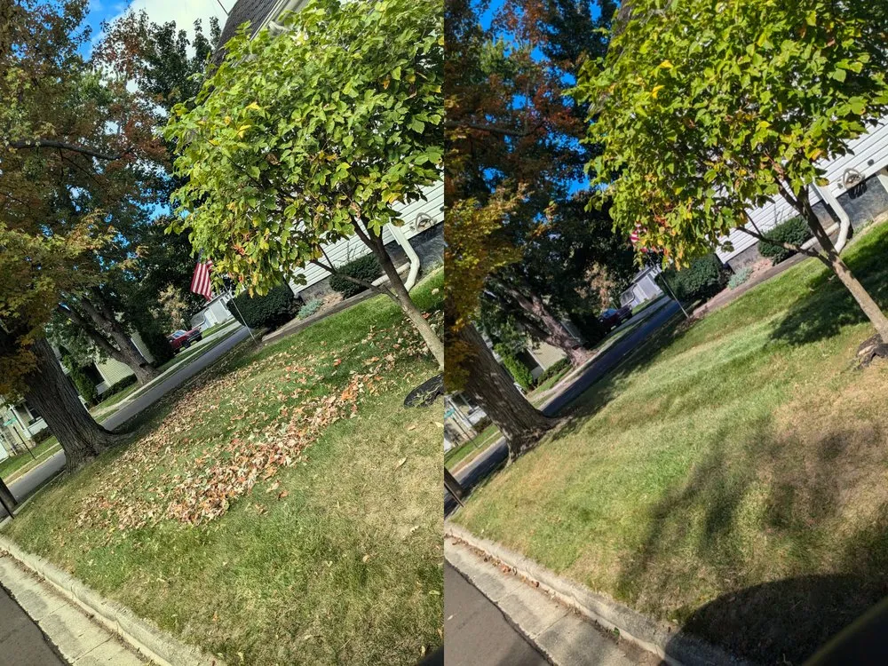 Local yard maintenance for year-round maintenance in Saint Clair, MI by Van Mow Lawns