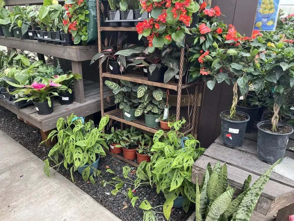 Custom landscape installation in Rochester, NY - Van Putte Gardens