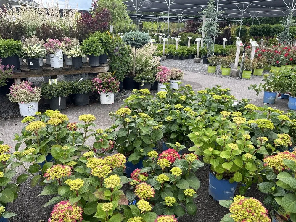 Reliable lawn care service in Rochester, NY - Van Putte Gardens