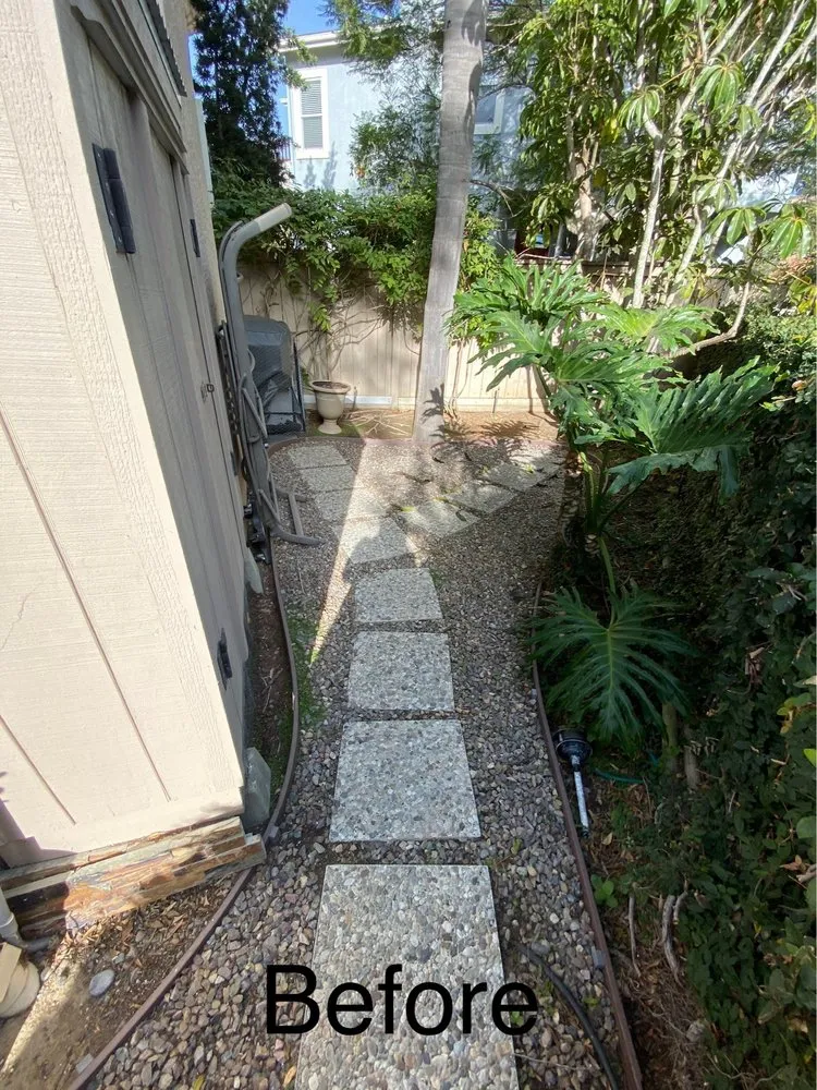 Local landscape design for homes across Encinitas, CA - Van Slyke Landscape