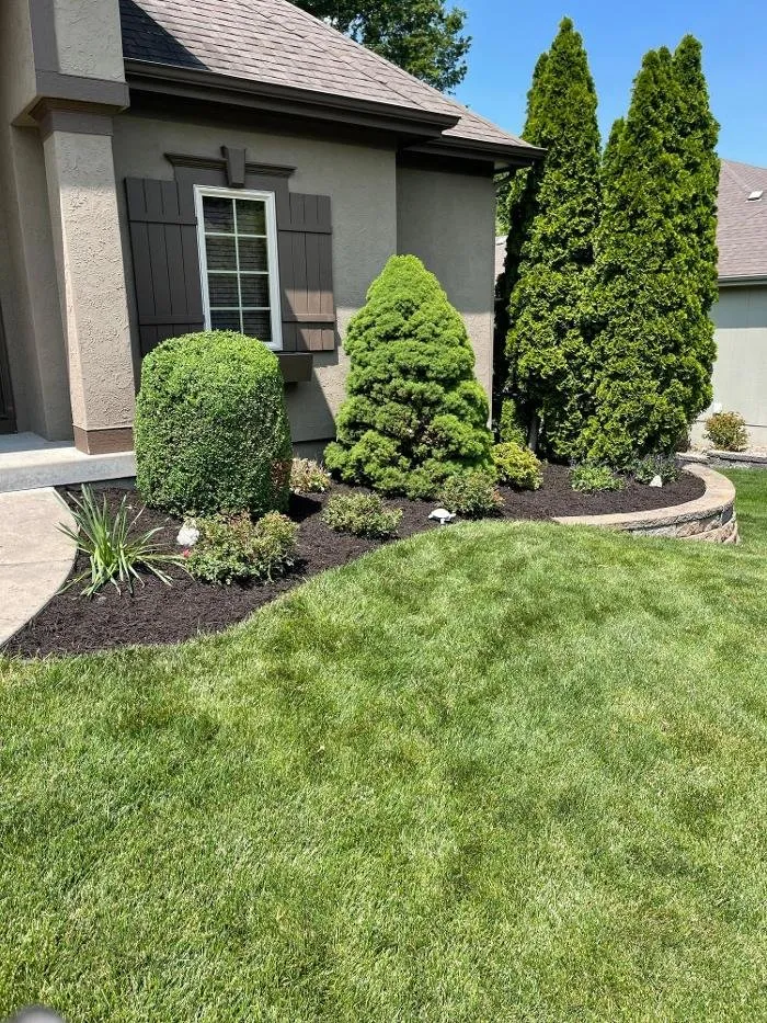 Trusted lawn care service experts serving Dearborn, MO - Van Tol Lawn Care