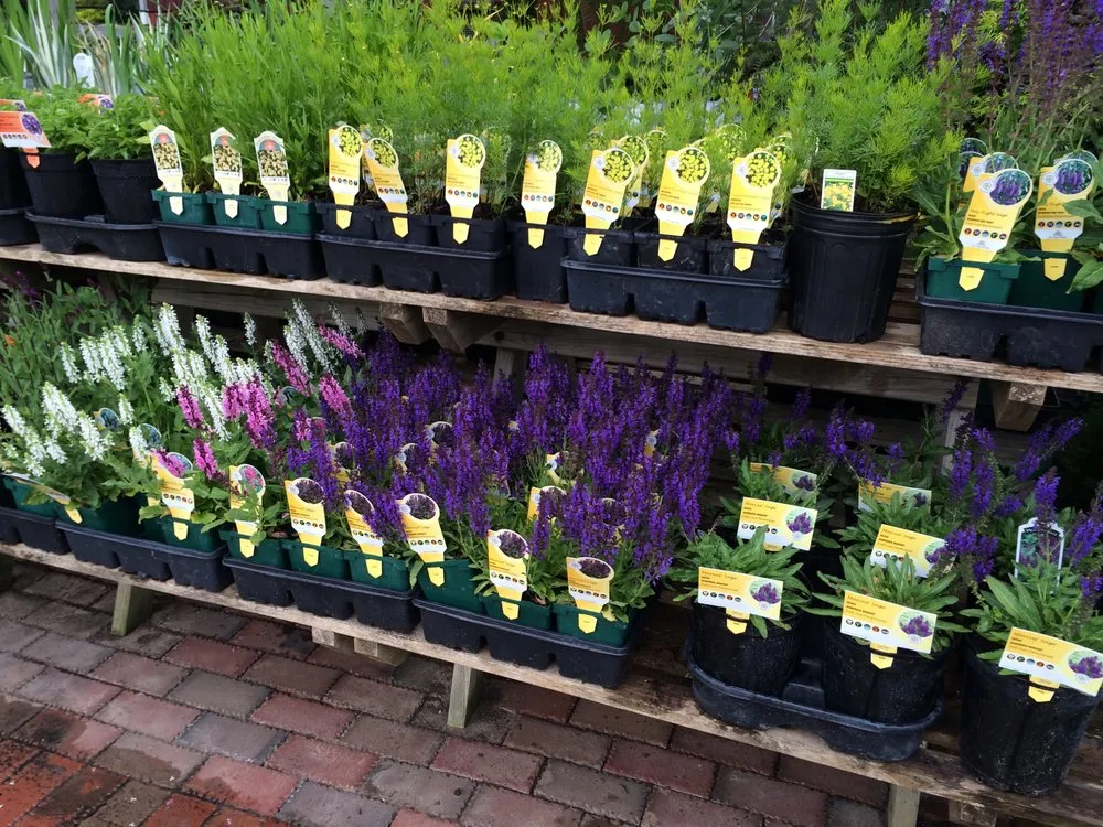 Local yard cleanup service for outdoor upgrades in Appleton, WI by Van Zeeland Nursery & Landscape