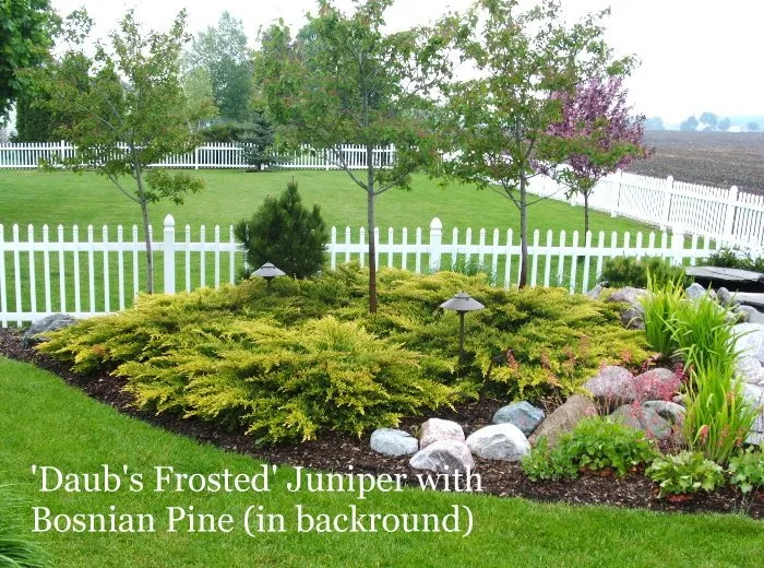 Professional landscape design experts serving Appleton, WI - Van Zeeland Nursery & Landscape