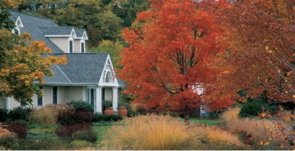 Expert yard cleanup service in Wadsworth, IL - Van Zelst