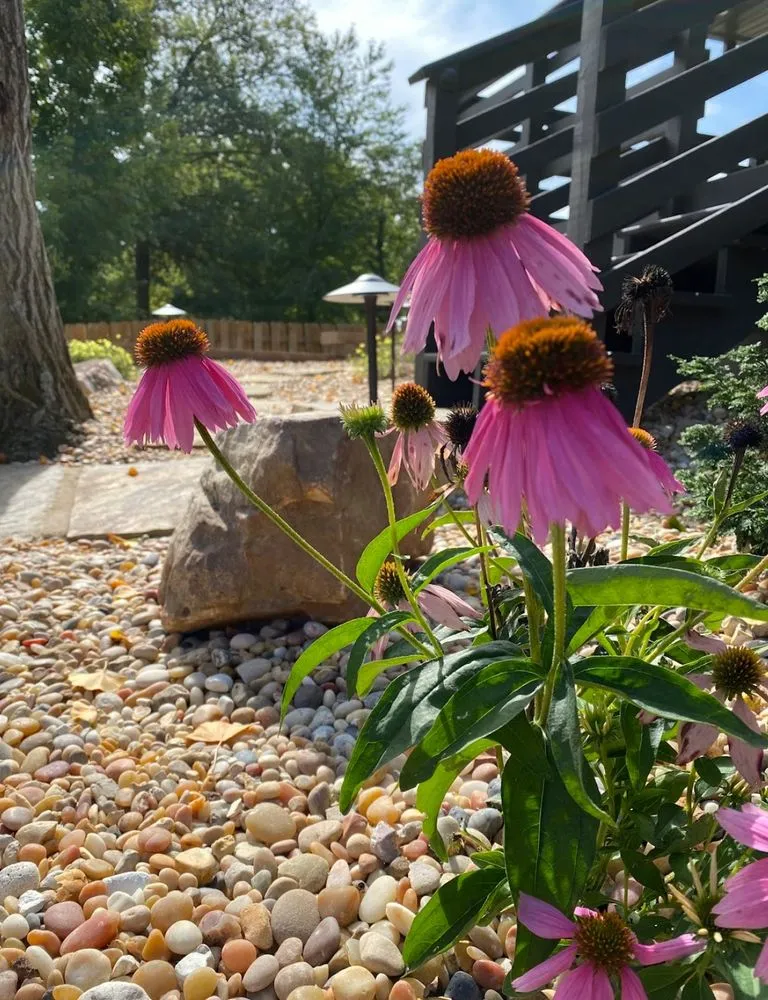 Custom residential landscaping in Evansville, IN by VanBeck Stocker's Landscaping and Lawn Care