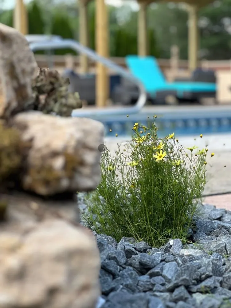 Reliable yard cleanup service for outdoor upgrades in Evansville, IN by VanBeck Stocker's Landscaping and Lawn Care