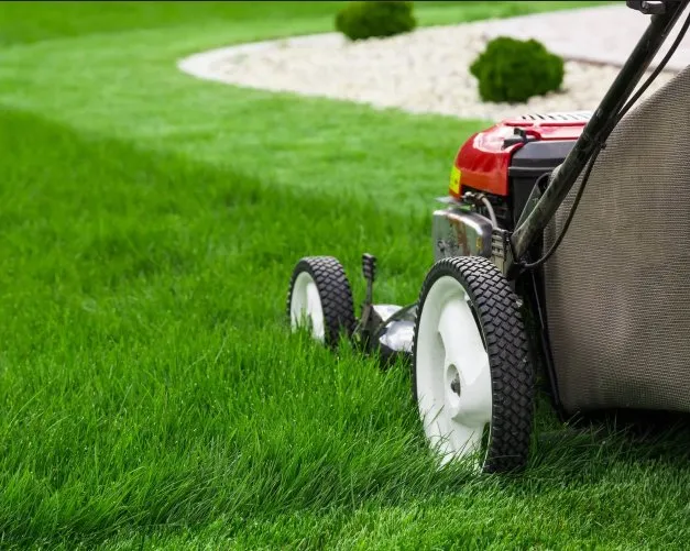 Top-rated lawn care service for residential properties across Ashland, KY - Vanbibber Handyman