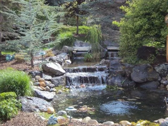 Reliable landscaping services in Jerome, ID by Vance Landscape & Sprinklers