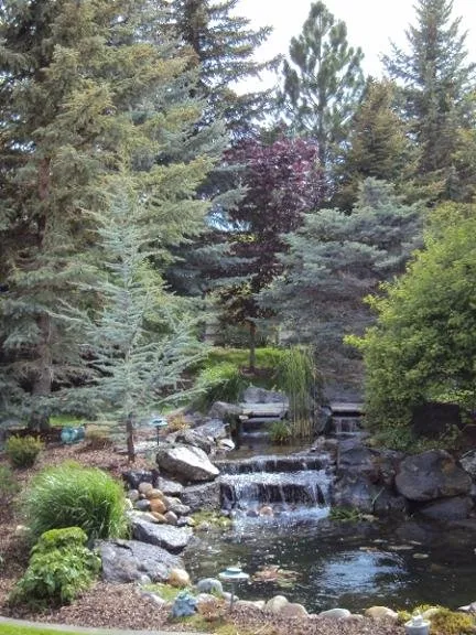 Affordable landscaping services for homes across Jerome, ID - Vance Landscape & Sprinklers
