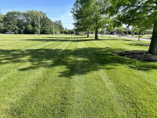 Vance Lawn Maintenance