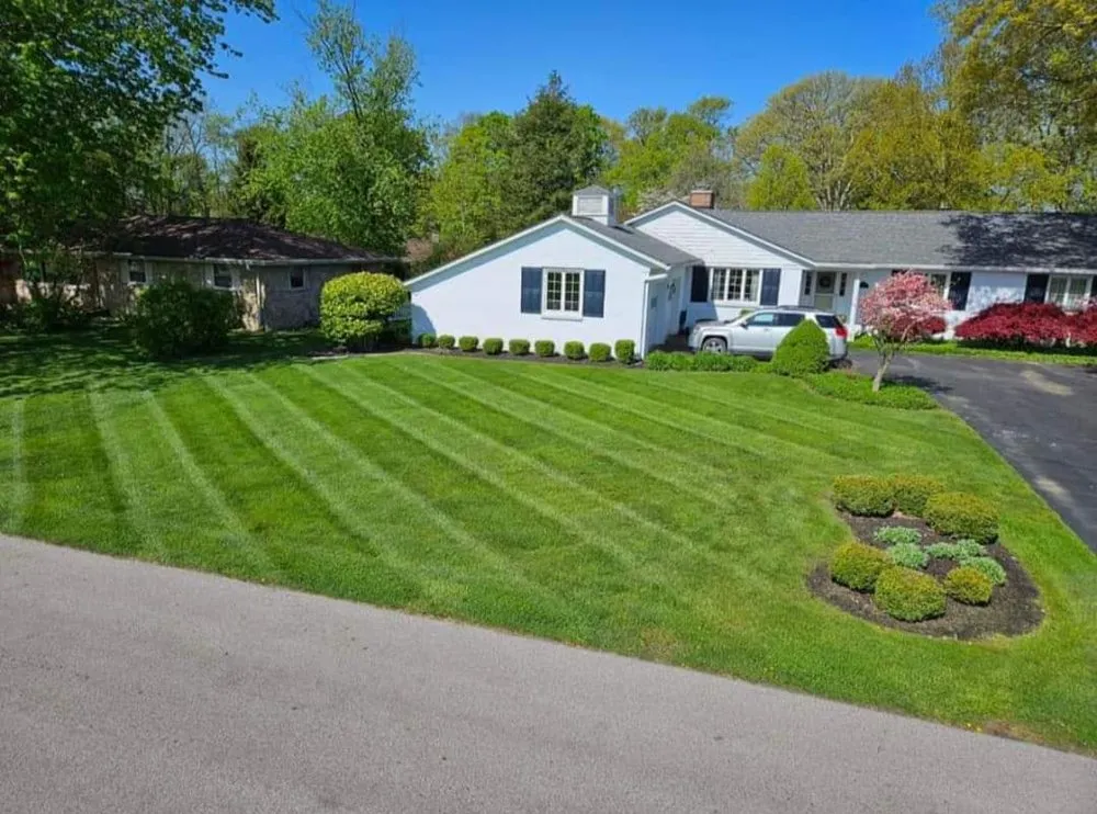 Reliable yard cleanup service in Scottsville, KY - Vance Lawncare