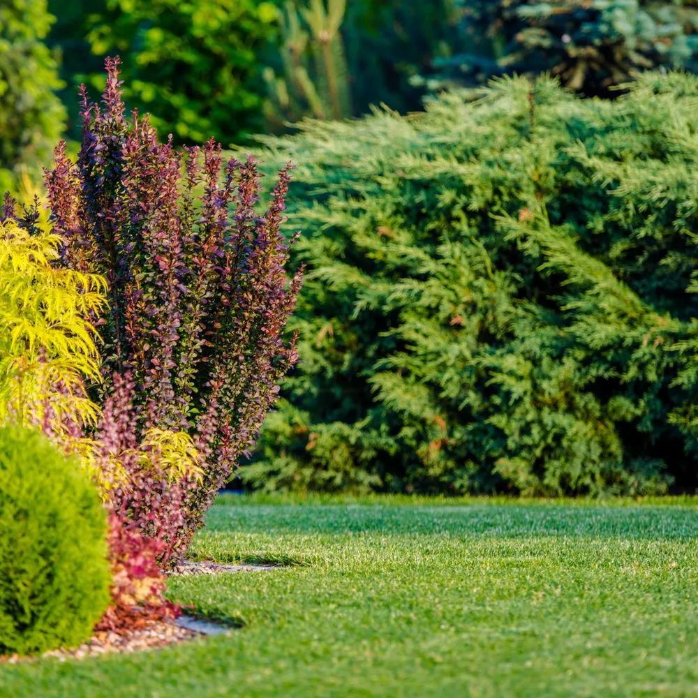 Top-rated garden landscaping in Johnson City, TN by Vance's Improvements