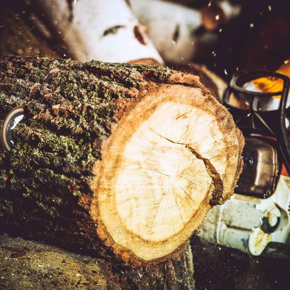 Custom outdoor landscaping in Johnson City, TN - Vance's Improvements