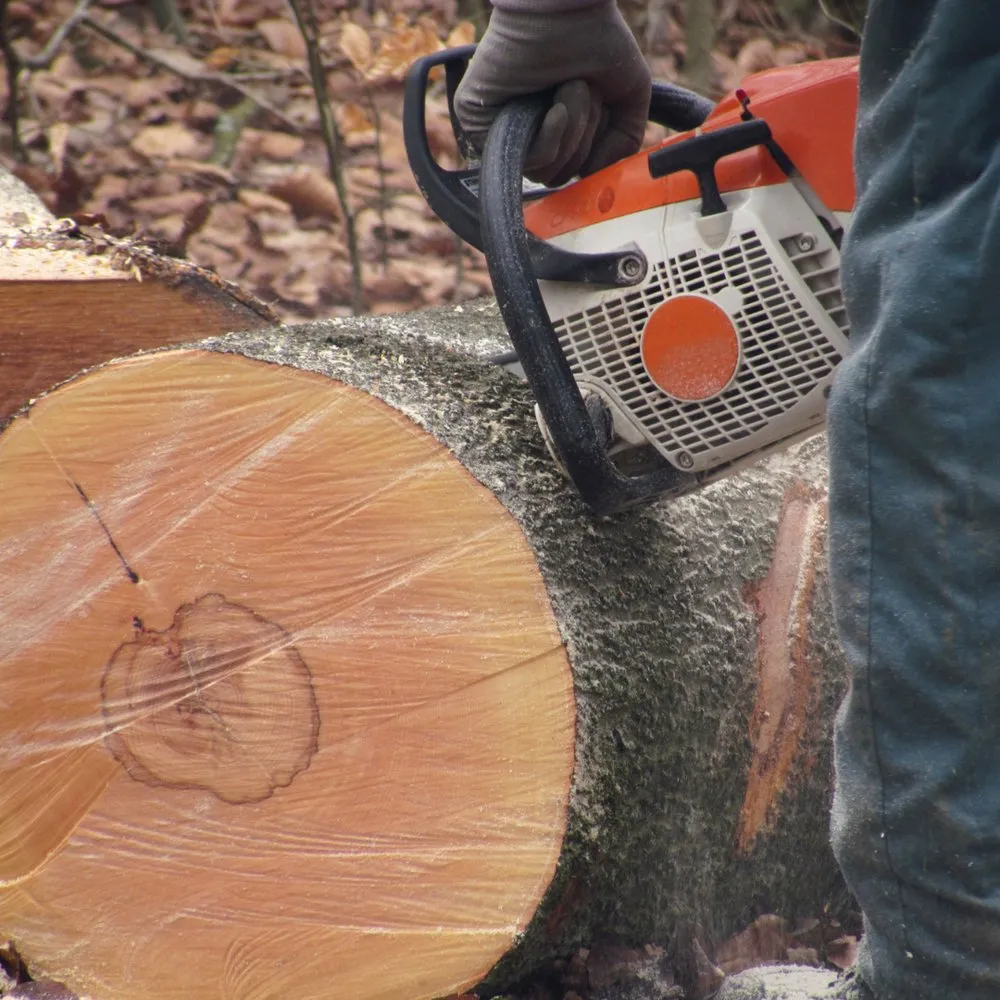 Affordable lawn care service for residential properties across Johnson City, TN - Vance's Improvements