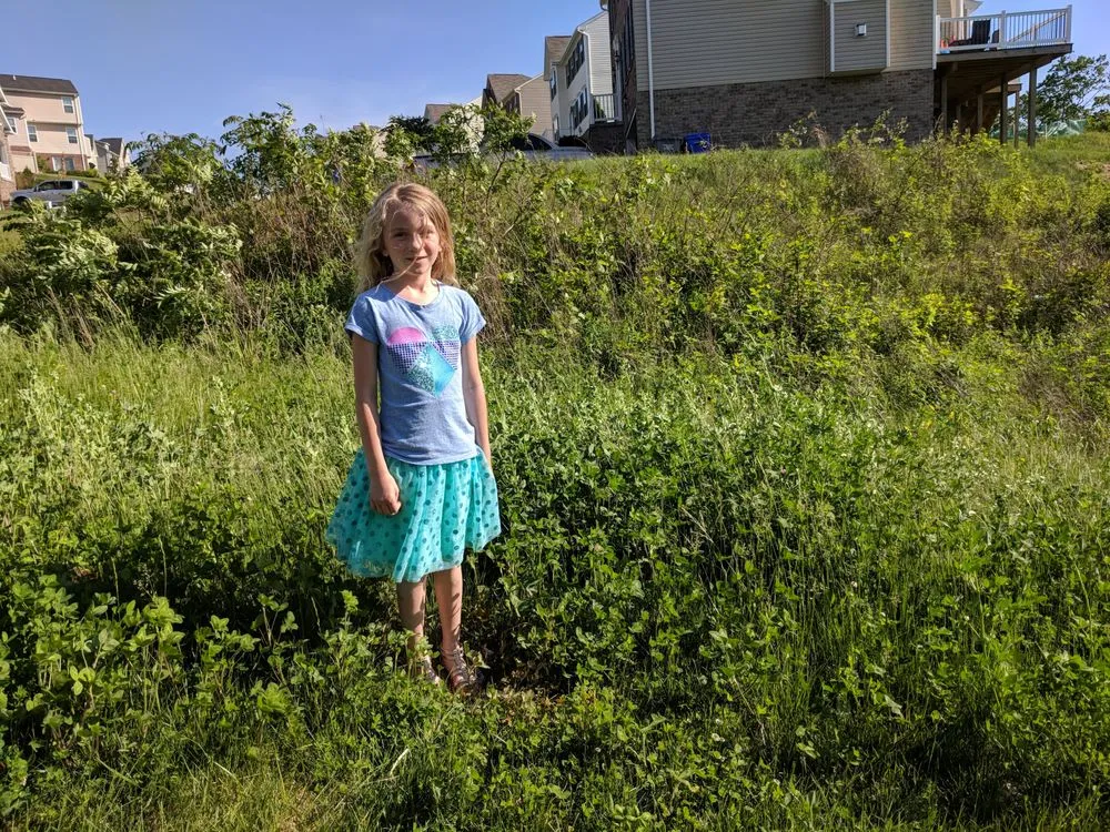 Custom yard maintenance in Beaver Falls, PA - Vance's Landscape Supply