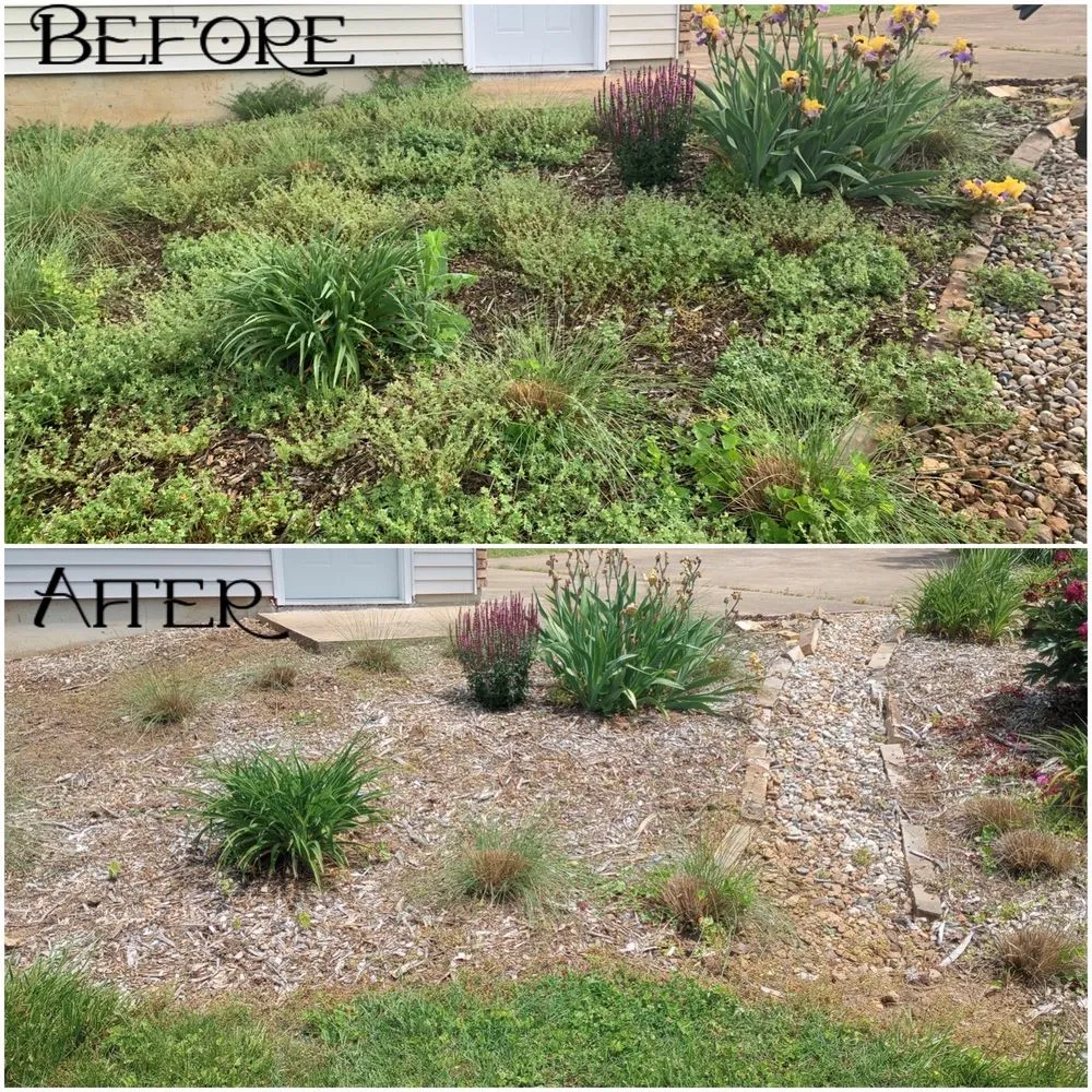 Expert lawn care service for residential properties across Cadet, MO - Vancil Cleaning and Property Preservation