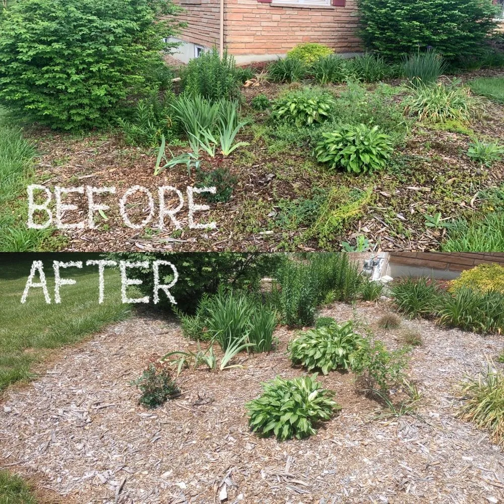 Custom landscape installation experts serving Cadet, MO - Vancil Cleaning and Property Preservation