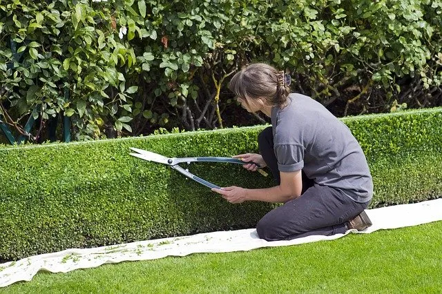 Affordable residential landscaping for year-round maintenance in Vancouver, WA by Vancouver Lawn Care