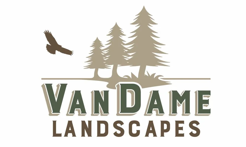 Trusted yard cleanup service with custom design in Souderton, PA by VanDame Landscapes